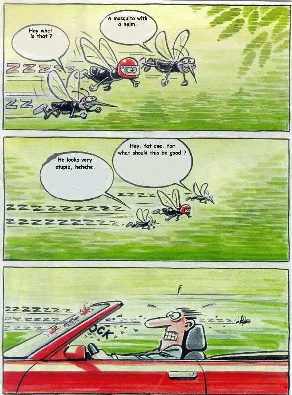 jstory4.jpg (75790 bytes)